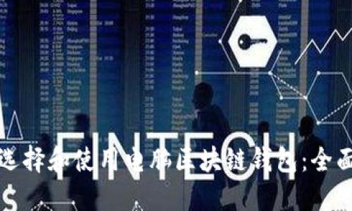 如何选择和使用电脑区块链钱包：全面指南