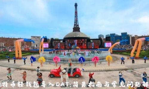 
比特币轻钱包导入DAT：简易指南与常见问题解析