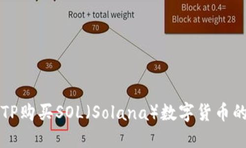 如何通过TP购买SOL（Solana）数字货币的完整指南