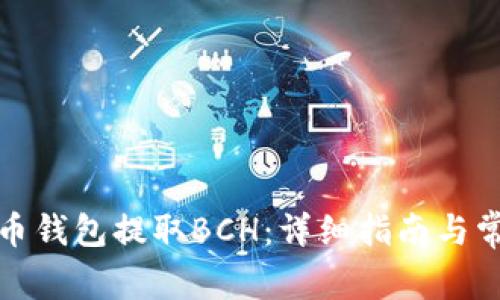 如何从比特币钱包提取BCH：详细指南与常见问题解答