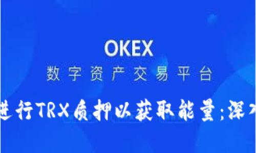 如何通过TP钱包进行TRX质押以获取能量：深入探索与实操指南