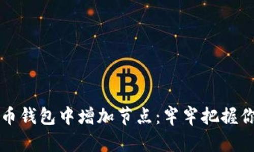 如何在比特币钱包中增加节点：牢牢把握你的数字资产