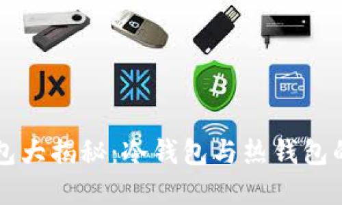 区块链钱包大揭秘：冷钱包与热钱包的选择指南