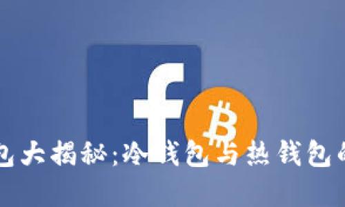 区块链钱包大揭秘：冷钱包与热钱包的选择指南