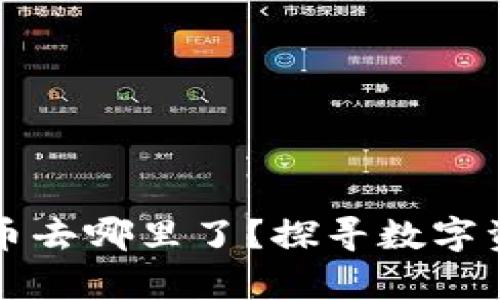 TP钱包里的代币去哪里了？探寻数字资产消失的真相