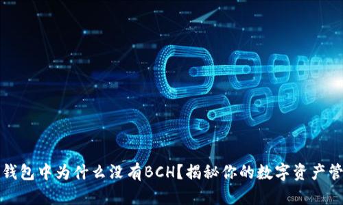 TP钱包中为什么没有BCH？揭秘你的数字资产管理
