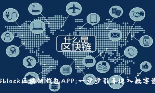 如何下载Sblock区块链钱包APP：一步步引导进入数字资产的世界