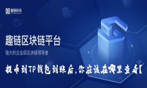 提币到TP钱包到账后，你应该在哪里查看？