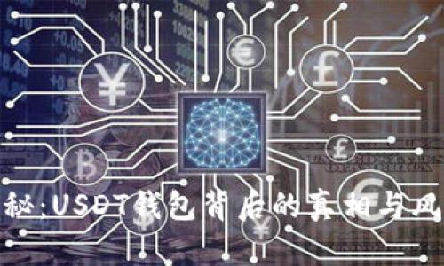 揭秘：USDT钱包背后的真相与风险