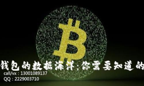 揭秘比特币钱包的数据海洋：你需要知道的大小与存储