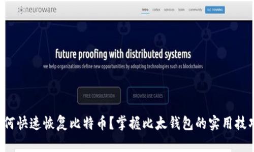 如何快速恢复比特币？掌握比太钱包的实用技巧！