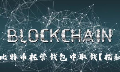 如何安全高效地从比特币托管钱包中取钱？揭秘币圈新手必知秘籍