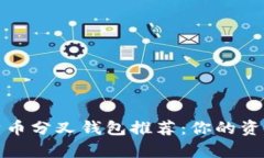 2023年最佳比特币分叉钱包