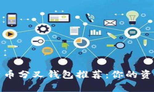 2023年最佳比特币分叉钱包推荐：你的资金安全有保障吗？