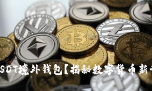 如何安全地使用USDT境外钱包？揭秘数字货币新世界的风险与机遇