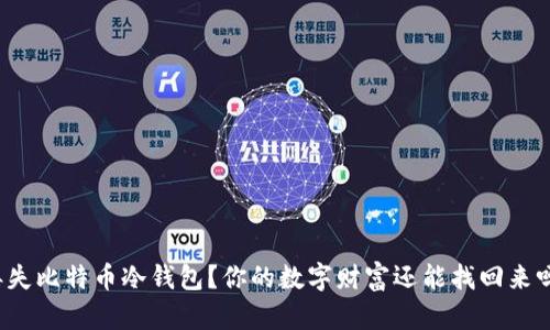 丢失比特币冷钱包？你的数字财富还能找回来吗？