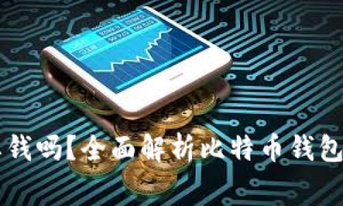 比特币钱包要钱吗？全面解析比特币钱包的费用与使用