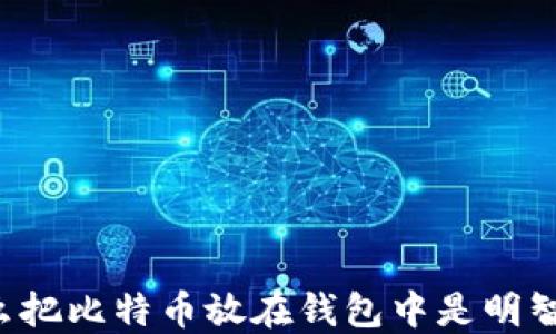 
为什么把比特币放在钱包中是明智之举？