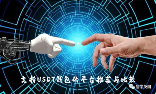 支持USDT钱包的平台推荐与比较
