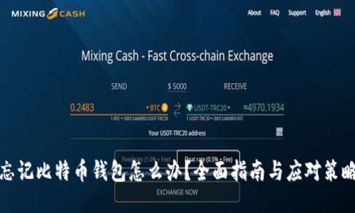 忘记比特币钱包怎么办？全面指南与应对策略