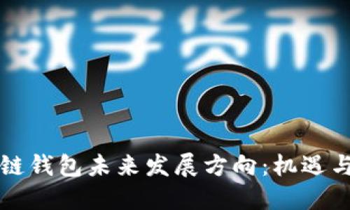 区块链钱包未来发展方向：机遇与挑战