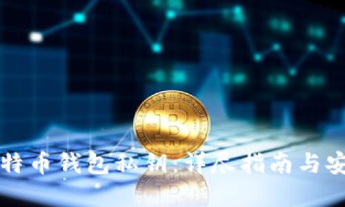 如何查看比特币钱包私钥：详尽指南与安全最佳实践