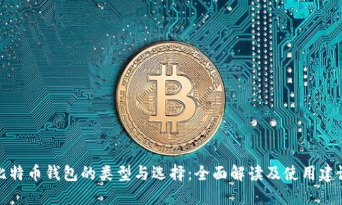 比特币钱包的类型与选择：全面解读及使用建议