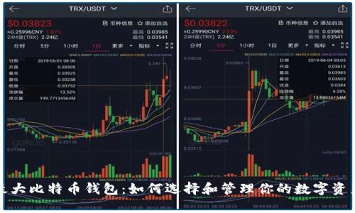 最大比特币钱包：如何选择和管理你的数字资产