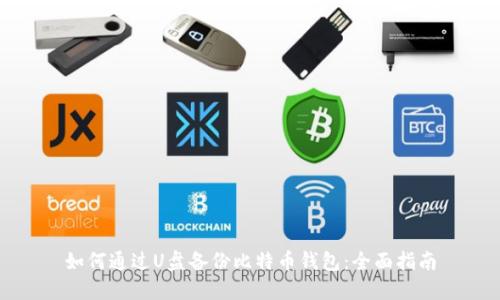 如何通过U盘备份比特币钱包：全面指南