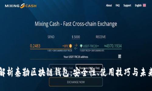 全面解析泰勒区块链钱包：安全性、使用技巧与未来发展
