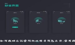 : 如何找回忘记密码的比特