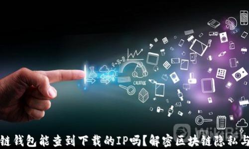 
区块链钱包能查到下载的IP吗？解密区块链隐私与安全