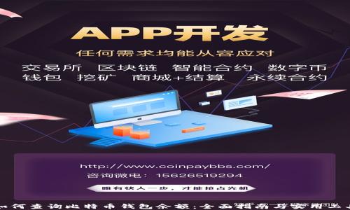 
如何查询比特币钱包余额：全面指南与实用工具