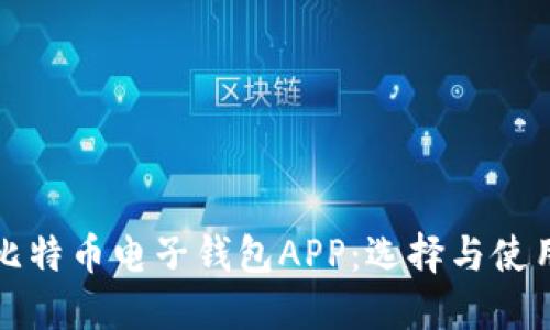 完美的比特币电子钱包APP：选择与使用全指南