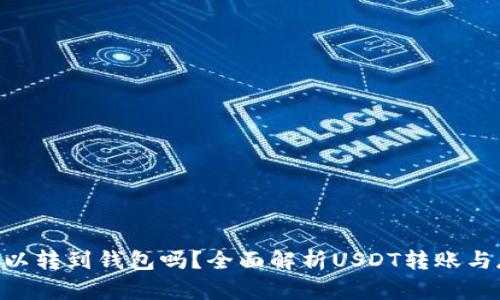  USDT可以转到钱包吗？全面解析USDT转账与存储问题