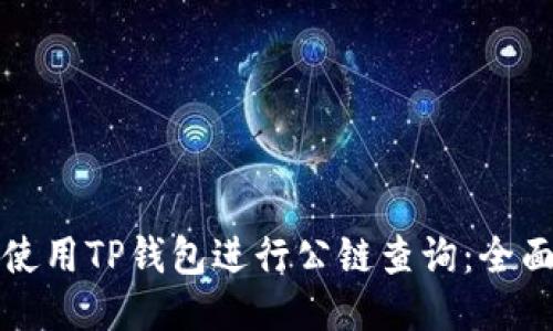 如何使用TP钱包进行公链查询：全面指南