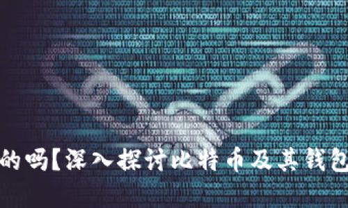 比特币钱包是实名的吗？深入探讨比特币及其钱包的匿名性与合法性